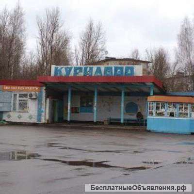 Участок в СНТ Курилово