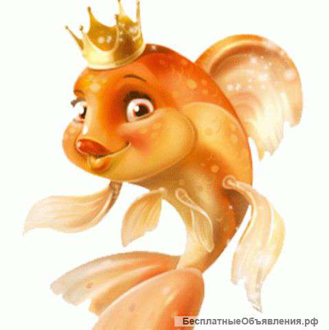 Муж на час :)