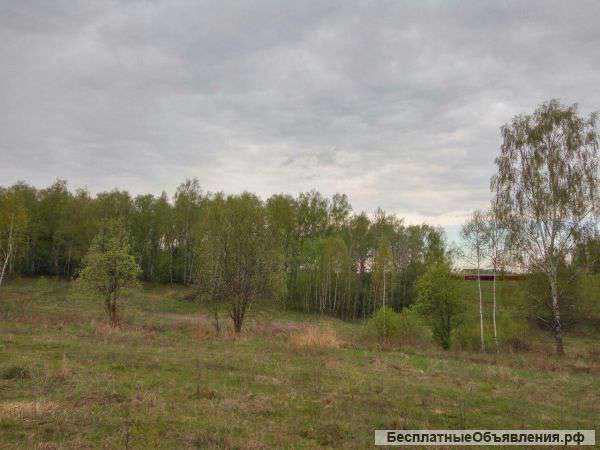 Участок 10 сот. в с.Шарапово