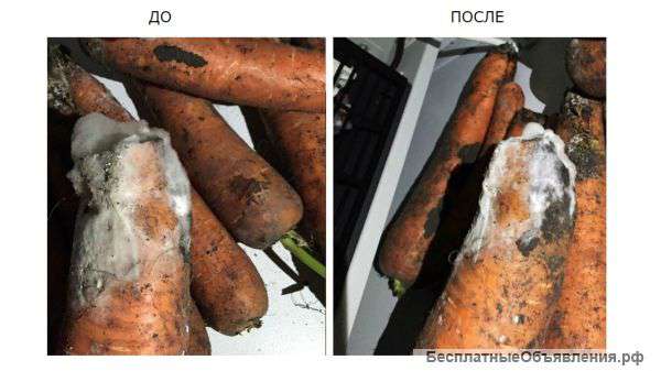 Сделай озонирование овощехранилища - сохрани урожай