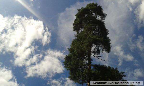 Участок 14 с.ПМЖ.д.Глазово.