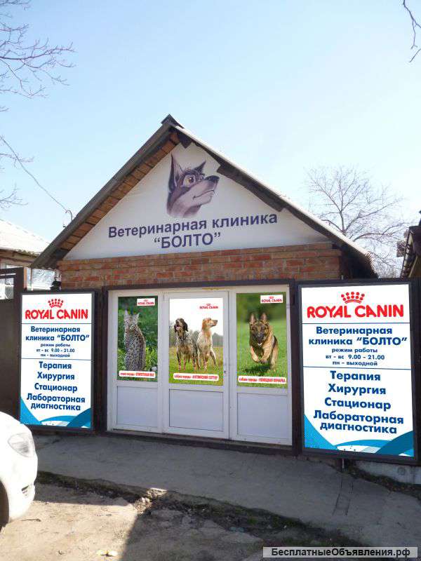 Требуется ветеринарный врач