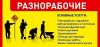 Разнорабочие,грузчики,мастер на час