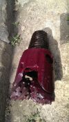 Долото шарошечное 146 тзгау новые