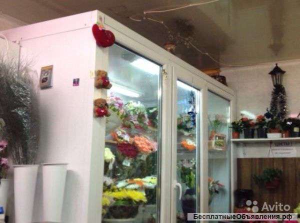 Холодильник ветрина для цветов