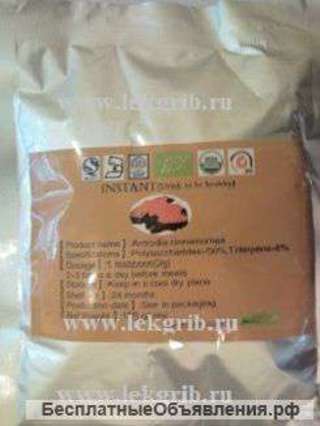 Красный камфорный гриб Антродия экстракт