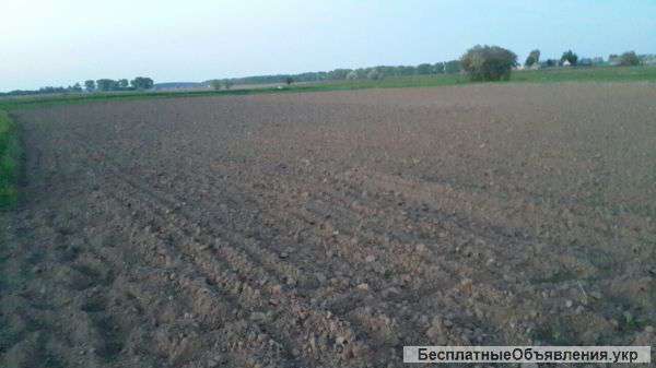 Земельні участки