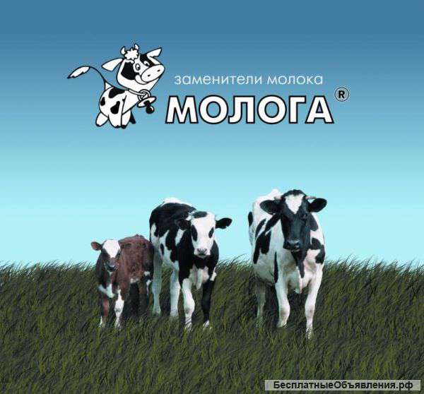Сыворотка молочная сухая