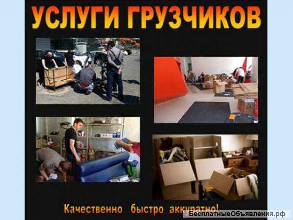 Грузоперевозки