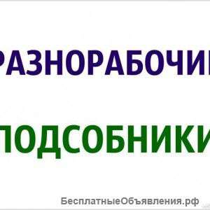 Разнорабочие, подсобники