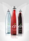 Сироп из Якутской брусники KYN