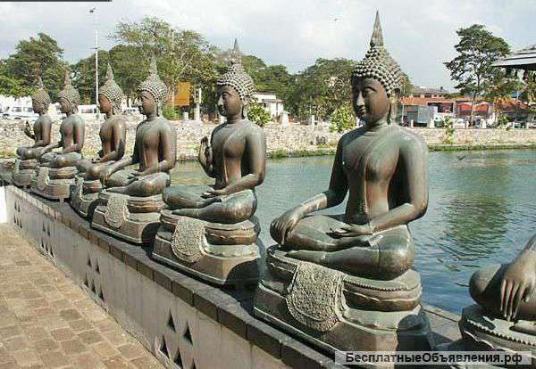 ООО «Вояж-Центр» предлагает туры на Шри-Ланку