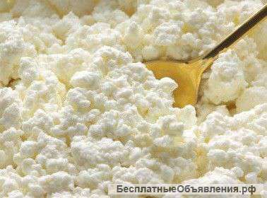 Творог оптом 60р