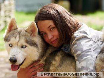 Гостиница для собак "Северный"
