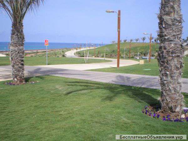 Квартиры посуточно Хайфа Израиль