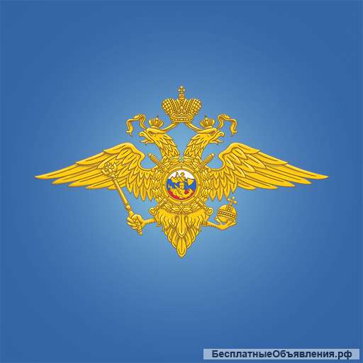Работа в полиции