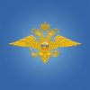 Работа в полиции