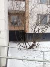 4-х комнатная квартира