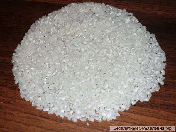 Рис краснодарский