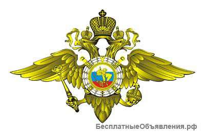 Инспектор службы (полиции)