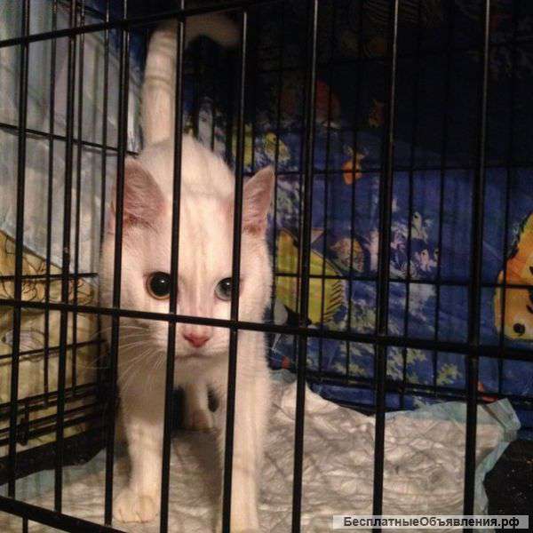 Очн нужна передержка