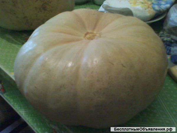 Картофель,Тыква и гусинный пух