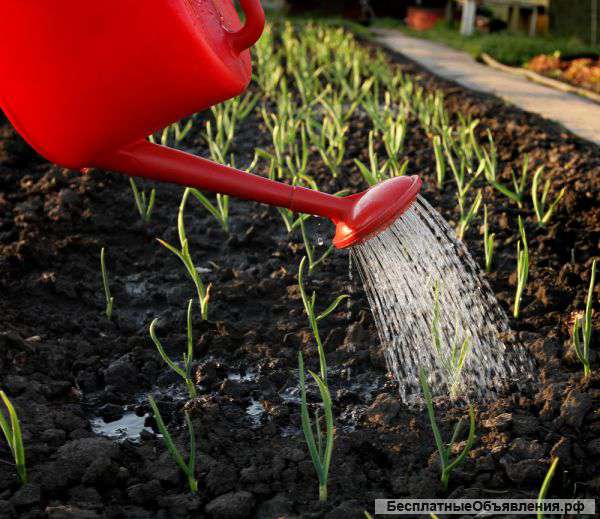 Плодородный грунт,торф,навоз,песок,щебень и тд