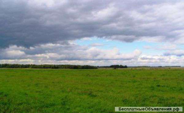 Участок 30 соток(ИЖС)