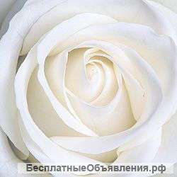 Поклейка обоев