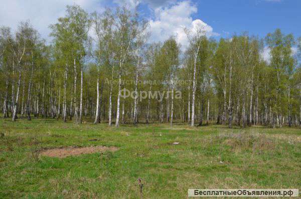 Участок 15 соток у леса в с. Константиновское, свет, газ, прописка