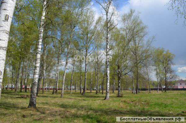 Участок 15 соток у леса в с. Константиновское, свет, газ, прописка