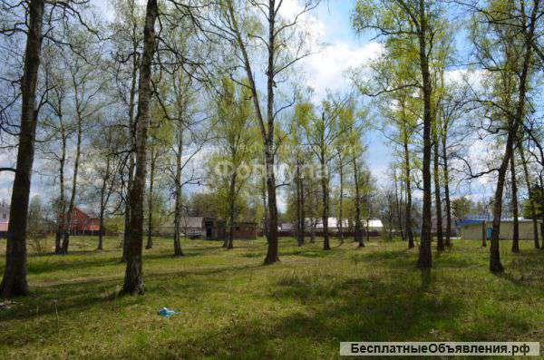 Участок 15 соток у леса в с. Константиновское, свет, газ, прописка