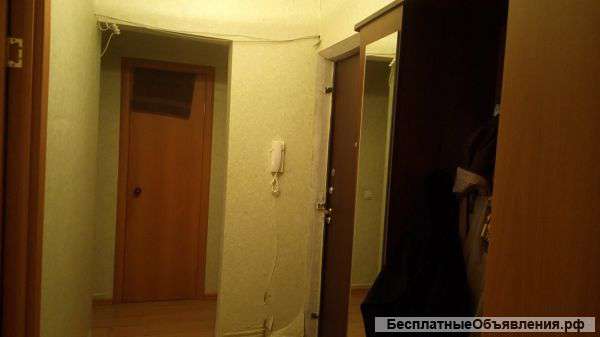 Сдаю в аренду