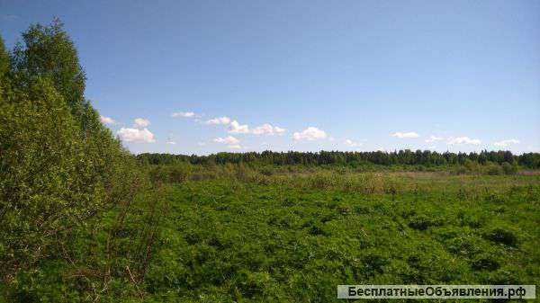 Шикарный плодородный участок рядышком с морем