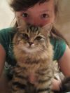 Передержка для кошек и котов. Зооняня