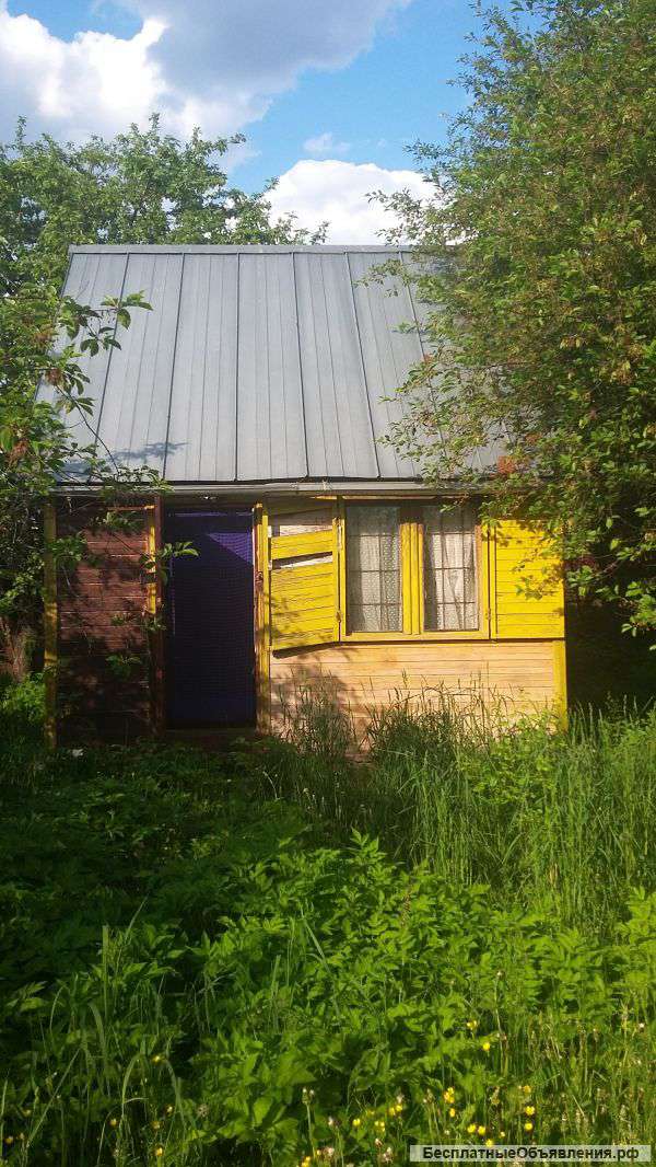 Сдаем дачу