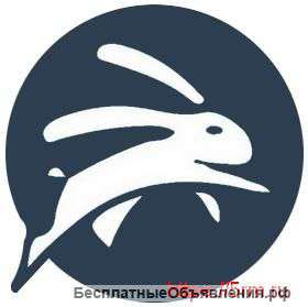 Идентификация пользователей вай-фай