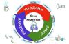 Автоматизация бизнеса по привлечения и удержания клиентов