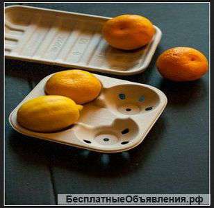 Биоупаковку предлагает компания «ЭкоПакЮг»