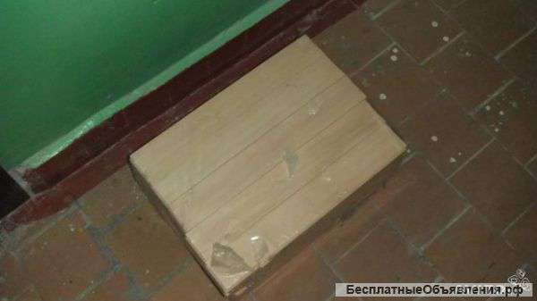 Буковый паркет