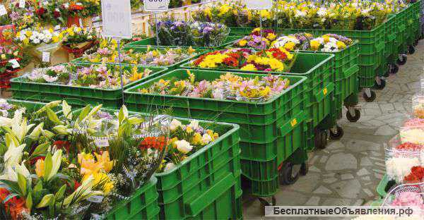 Все для садового центра