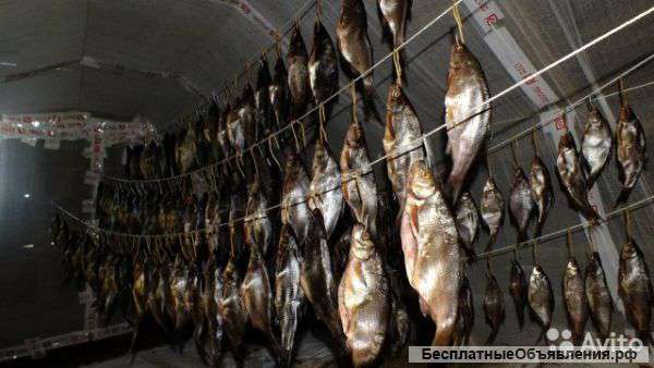 Вяленая плотва