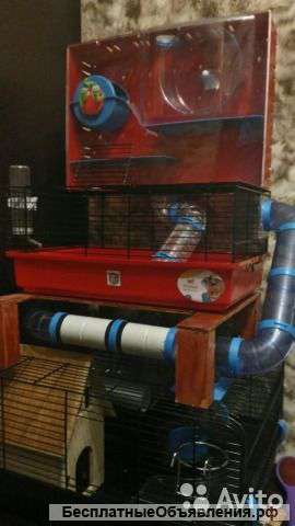 Огромная уникальная клетка для хомяков