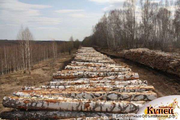 Фанерный кряж приобрету