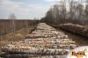 Фанерный кряж приобрету