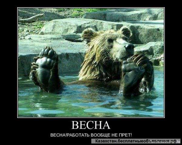 Менеджер по рекламе