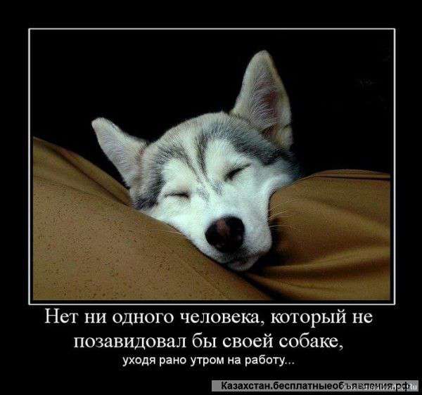 Специалист по рекрутингу