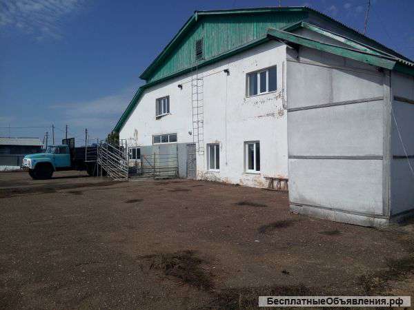 Убойный цех для крс/свинины. Готовое решение