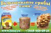 Мицелий на палочках