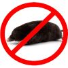 Уничтожение Кротов на садовых участках